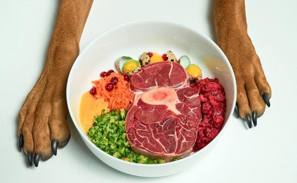 comida para perros